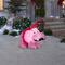 Airblown Hippo With Pink Tutu Inflatable